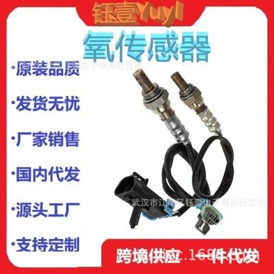 跨境氧传感器234-4242,234-4251OxygenO2Se