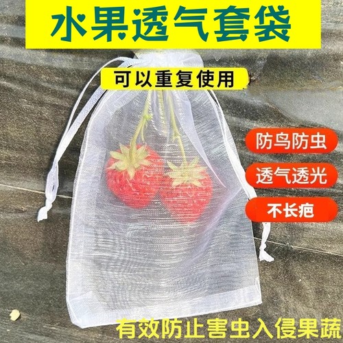 水果套袋防鸟网纱袋防虫专用袋枇杷葡萄桃子草莓保护套袋耐用种植