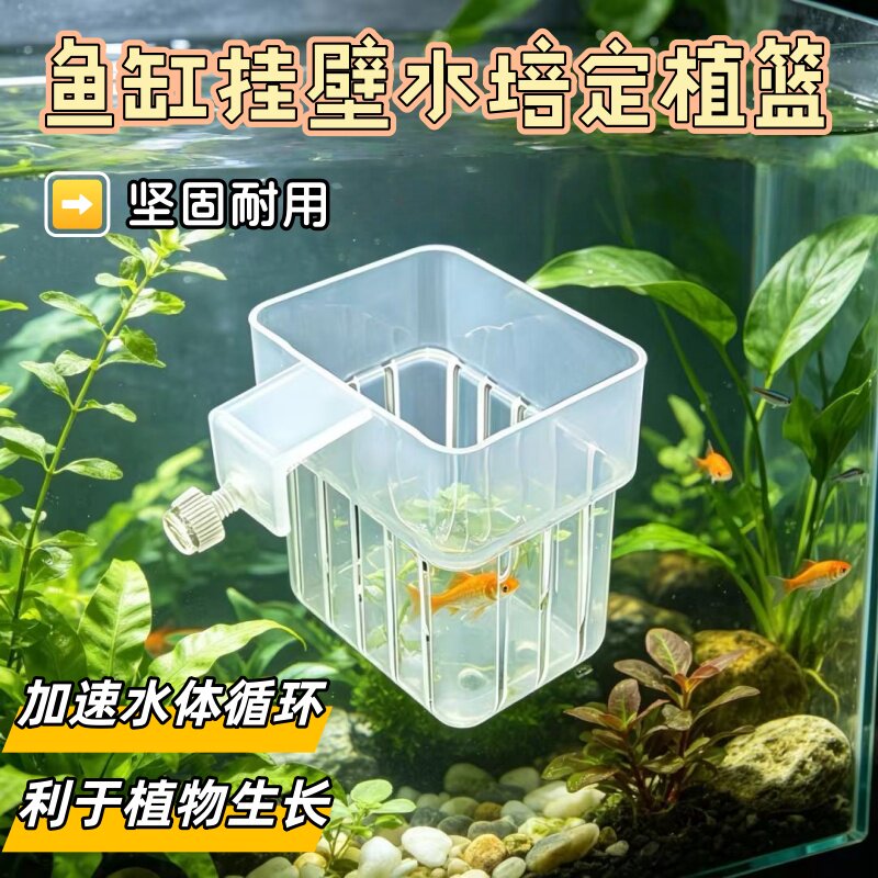 鱼缸水草杯挂壁式种植杯鱼缸植物造景透明加厚水培器皿水培定植篮