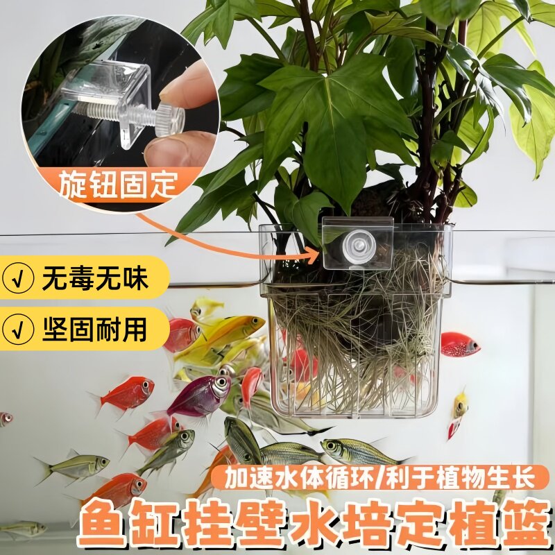 水培定植篮鱼缸水草杯挂壁式种植杯新款透明水培器皿鱼缸植物造景