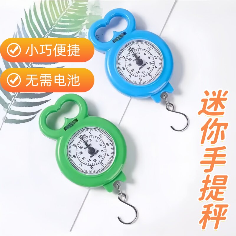 便携式家用手提秤旅游弹簧秤教学生秤购物小秤快递秤手提秤久耐用