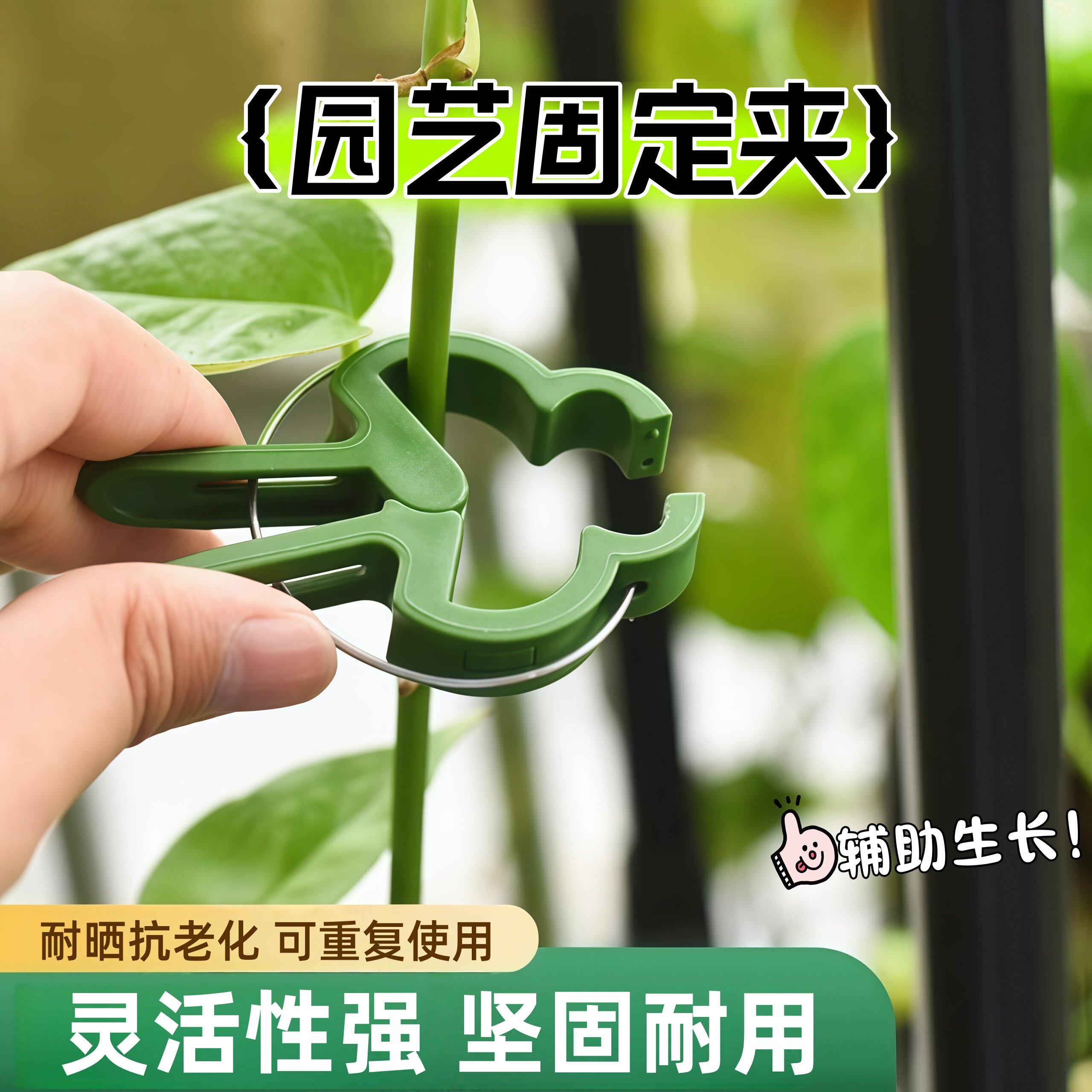 园林夹植物枝条固定夹园艺花卉蝴蝶兰支架夹子塑料园艺工具夹子扣