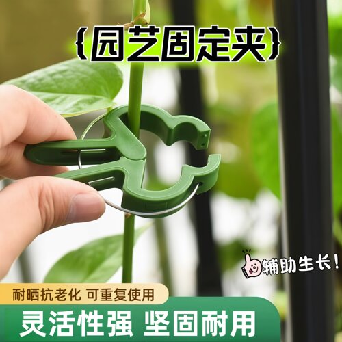 园林夹植物枝条固定夹园艺花卉蝴蝶兰支架夹子塑料园艺工具夹子扣