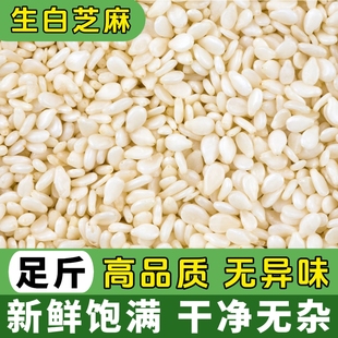 生白芝麻2025新货去皮白芝麻粒商用烘培干净饱满无杂质脱皮芝麻仁