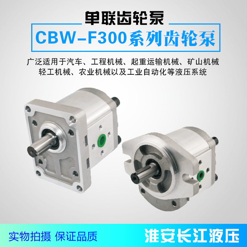 CBW-F300系列齿轮泵高效液压齿轮油泵厂家直发淮安长江液压