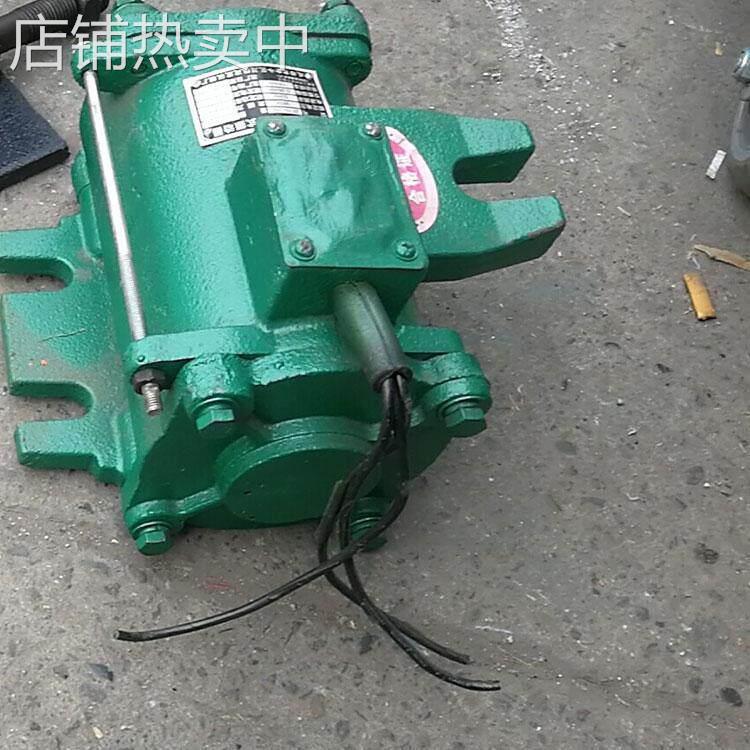 桥梁预制梁频附着式平板震动机 混凝土桥梁变频振动器