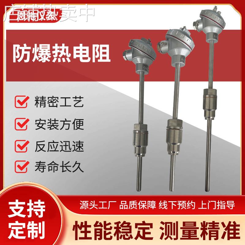 厂家供应防爆热电阻 WZP-240防爆热电阻 CT6BT4隔爆热电阻