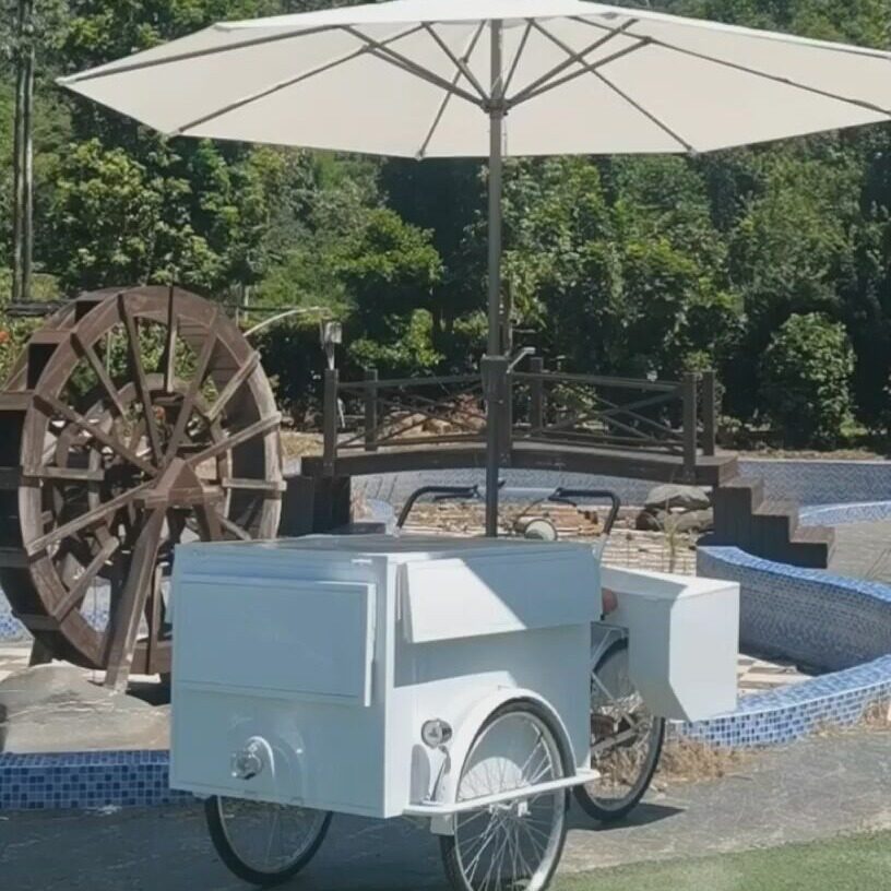 移动美食车花艺街景多功能流动摊位售货车景区铁艺花箱花架面包车