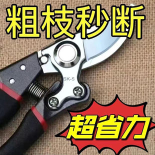 德国进口sk5强力园艺剪梨树桃子树修枝专用剪刀量来果树枝修枝剪