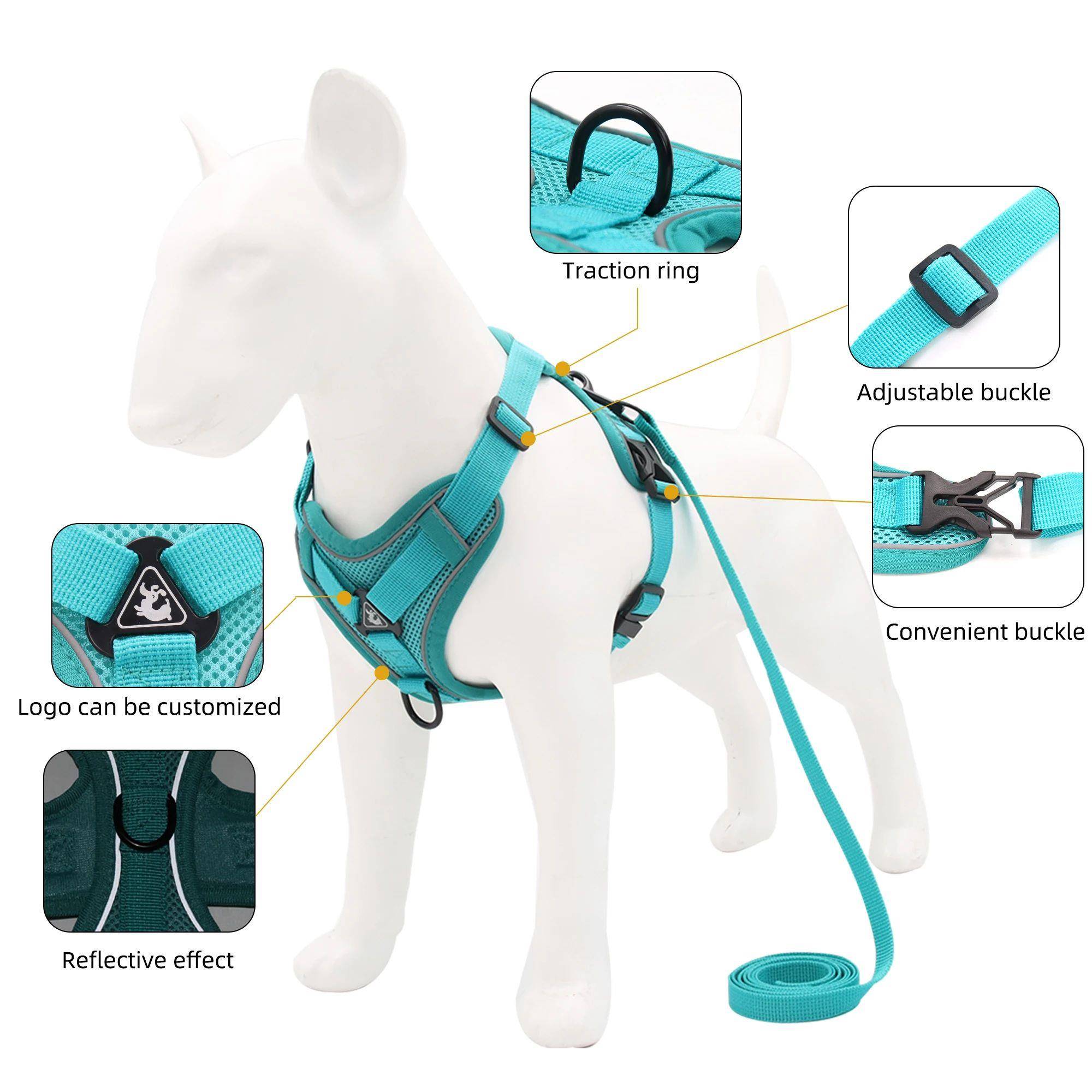 No-Pull Dog Harness and Leash Set for Small Medium Dogs Brea