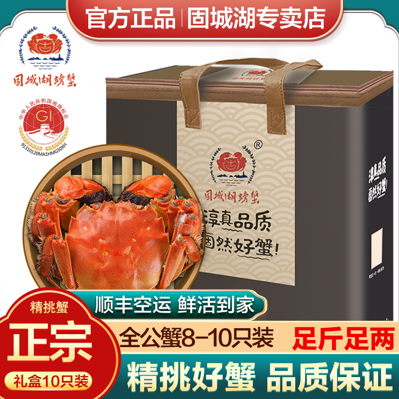 固城湖大闸蟹全公蟹8-10只