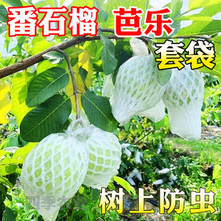 番石榴套袋网袋芭乐专用套袋水果防虫保护袋果袋套袋石榴袋子网套