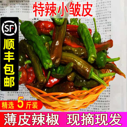 农家自种新鲜蔬菜小皱皮特辣螺丝椒薄皮虎皮椒青红辣椒超辣土辣椒