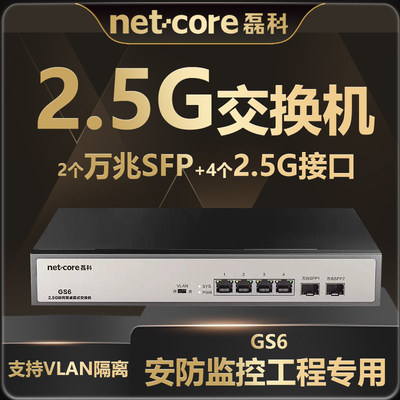 磊科4口万兆10GSFP光口