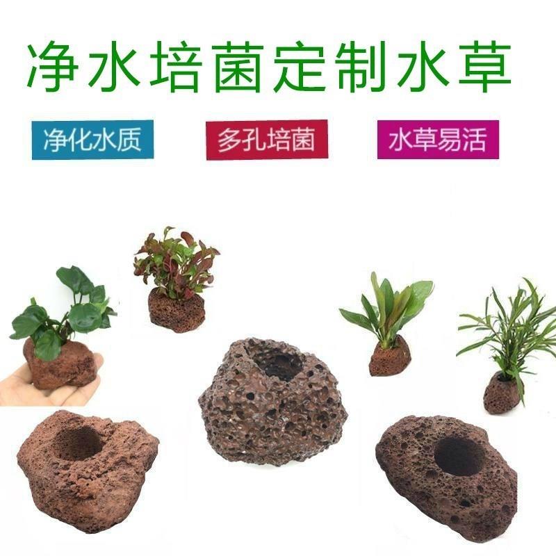 水草杯子价格 水草杯子图片 星期三