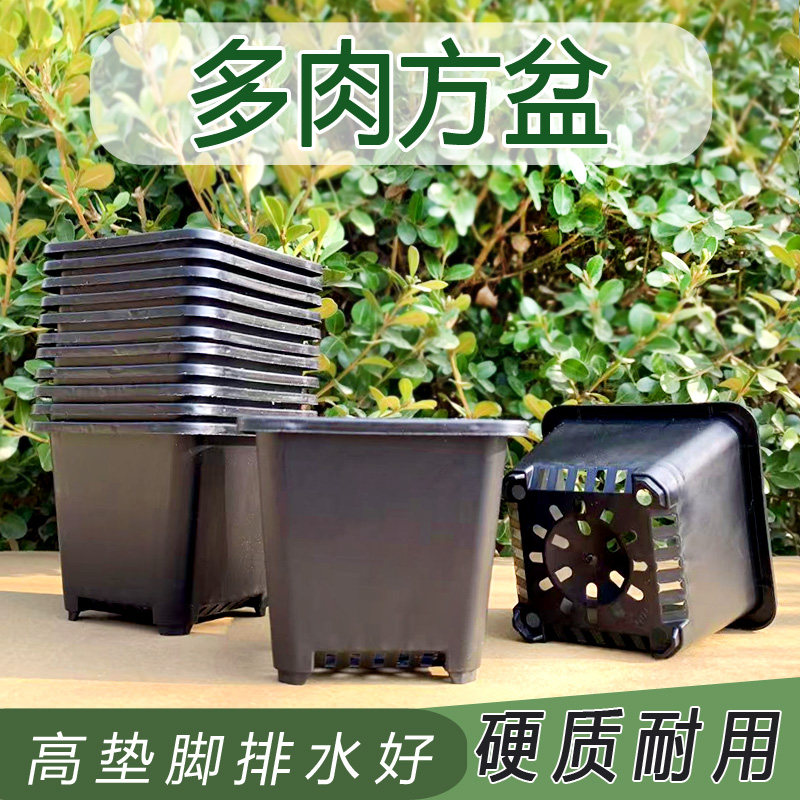 黑色小方盆多肉花盆育苗盆塑料盆多肉韩式方盆塑料小黑方加厚