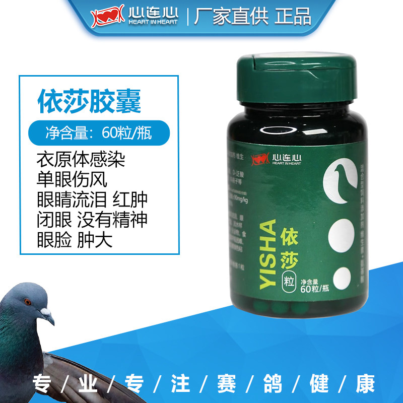 心连心依莎胶囊鸽子单眼伤风眼睛流泪眼睛红肿闭眼衣莎