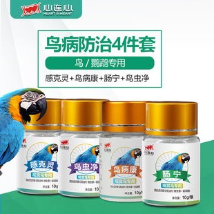 心连心鹦鹉鸟专用鸟驱虫鹦鹉积食水便绿便炸毛不精神鸟类通用