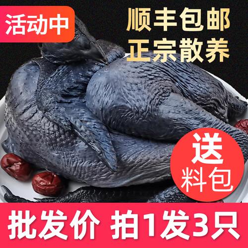 正宗新鲜现杀农村月子母乌鸡公鸡