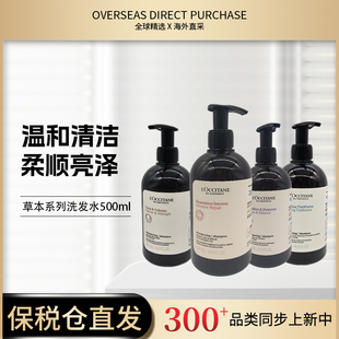 新版 欧舒丹菁纯系列洗发水