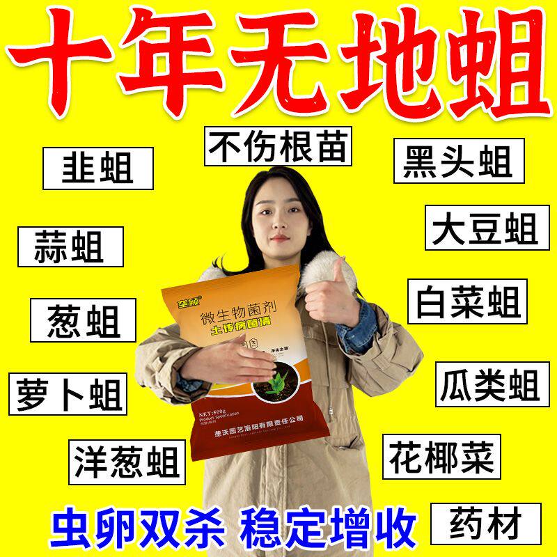 正品】地蛆专用药杀韭菜大