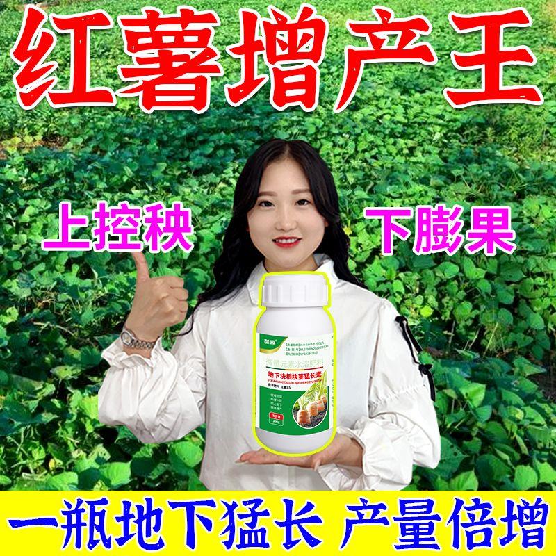 红薯控旺保花保果膨大增产叶面肥