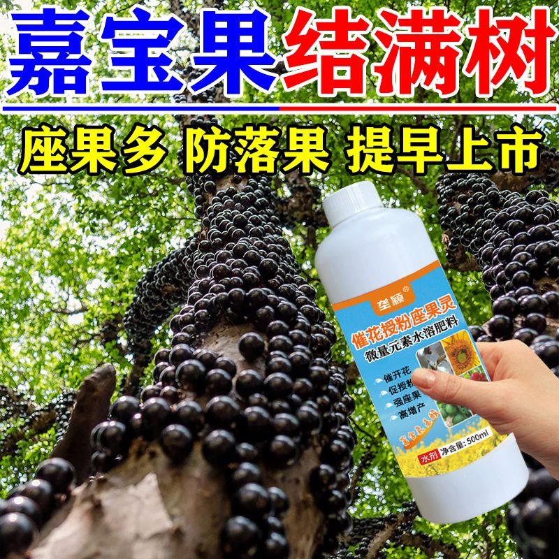 嘉宝果花保果液体肥高端
