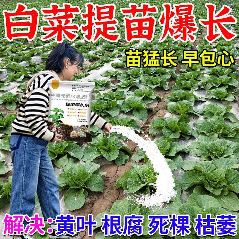 白菜提苗暴长剂壮苗快速增长防黄叶根腐根肿死棵防腐促包心增产肥