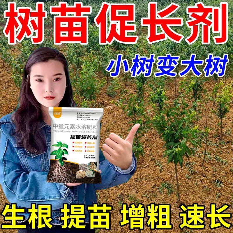果树苗木速生生根营养液
