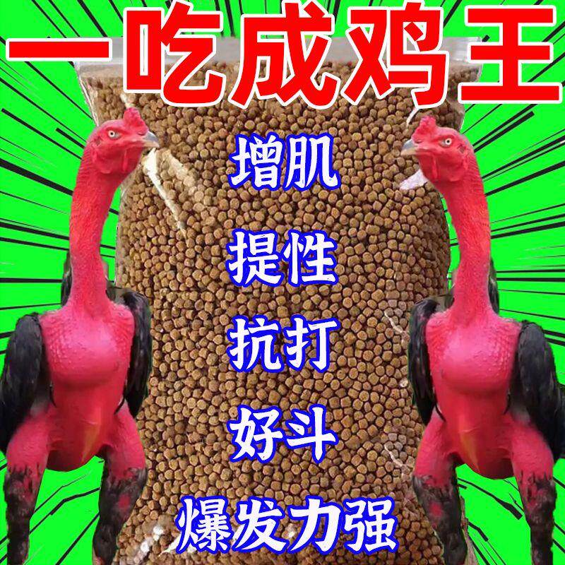 斗鸡专用饲料抗打增肌补钙红