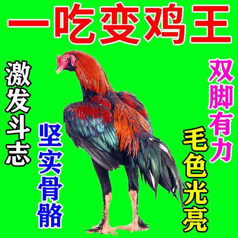 斗鸡专用饲料高蛋白强筋骨