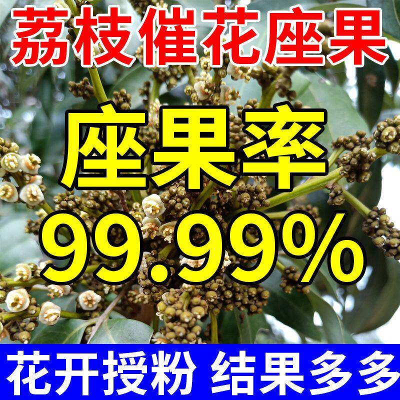荔枝树授粉保花保果防裂肥