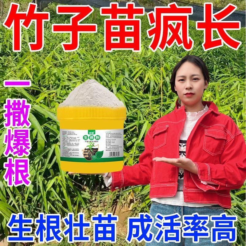 竹子速效生根壮苗叶面肥