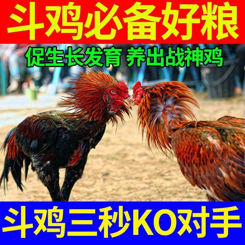 正宗斗鸡比赛专用饲料速发壮骨