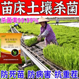 水稻苗床调理剂苗床杀菌消毒剂立枯稻瘟恶苗根腐青枯绵腐病全治