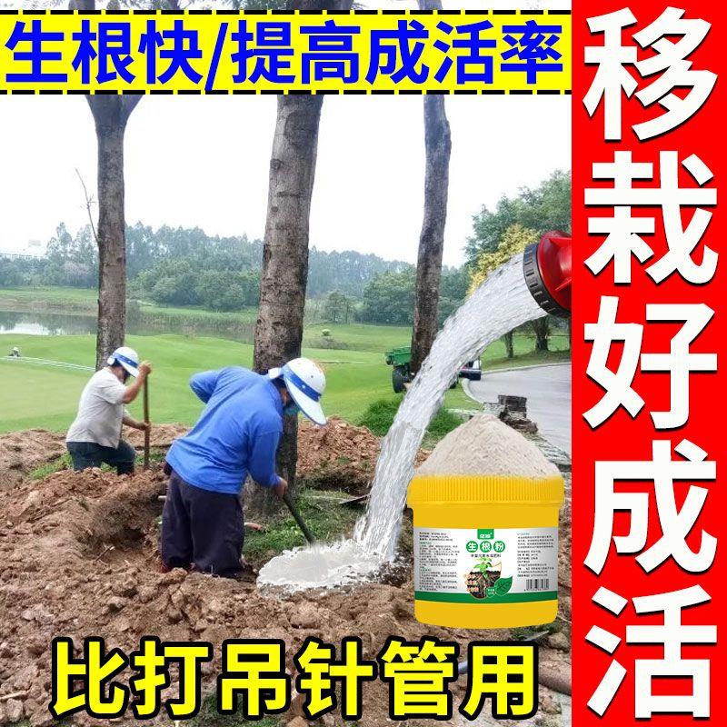 园林苗木移栽强力生根粉速长剂