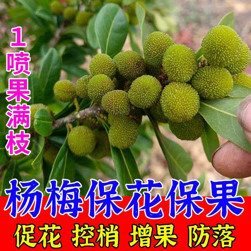 杨梅催花素花芽分化素催花促花叶面肥促授粉果树催花剂保花保果