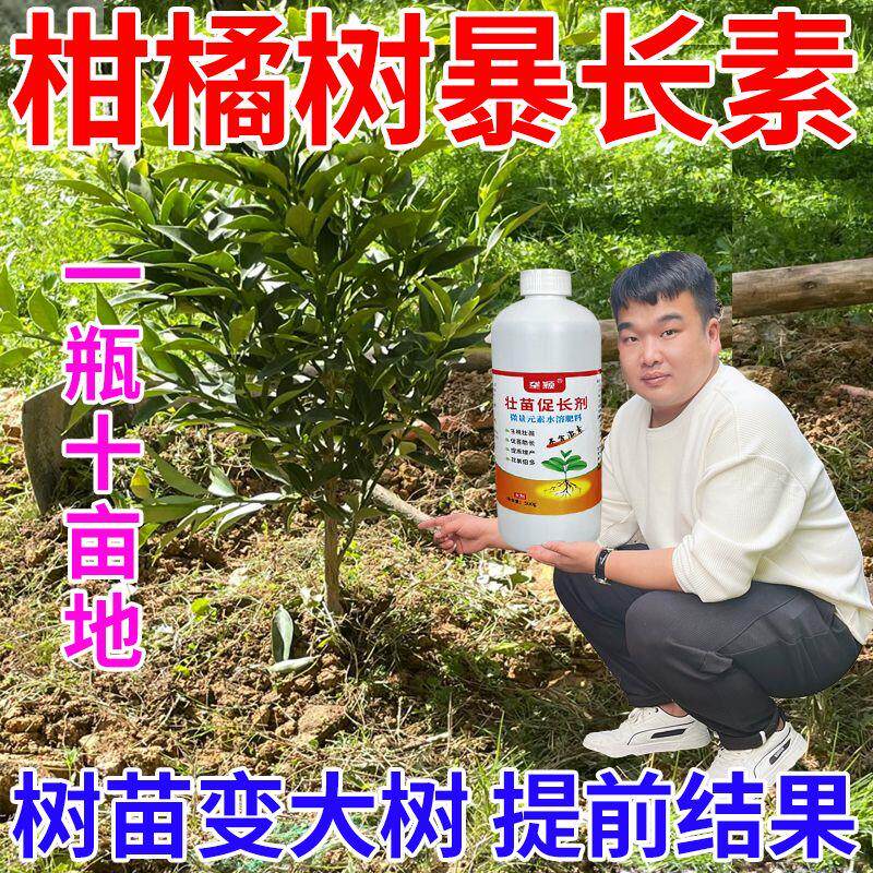 柑橘樱桃果树专用速长剂树木生长素猛长提苗暴长壮苗营养液肥料