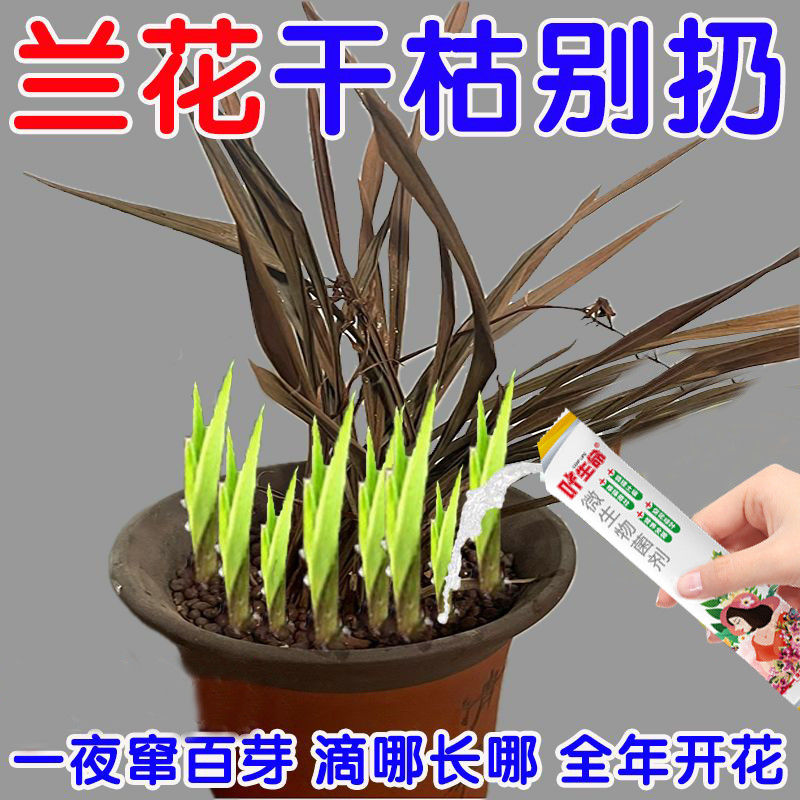 黄叶急救】兰花营养肥爆根