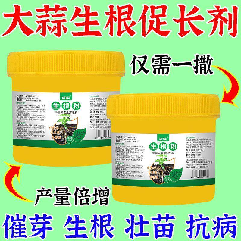 大蒜爆根剂蒜苗生根壮苗液防黄叶干尖烂根加速生长大蒜猛长叶面肥