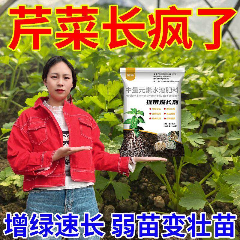 芹菜高产增粗生根抗病叶面肥