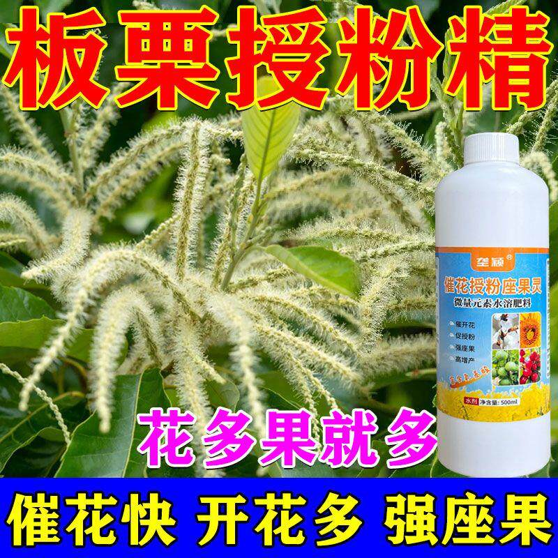 板栗催花素花芽分化素栗子促花叶面肥果树促授粉树保花保果坐果灵