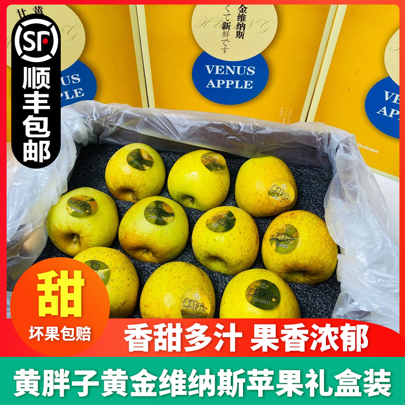 黄胖子黄金维纳斯苹果脆甜多汁！
