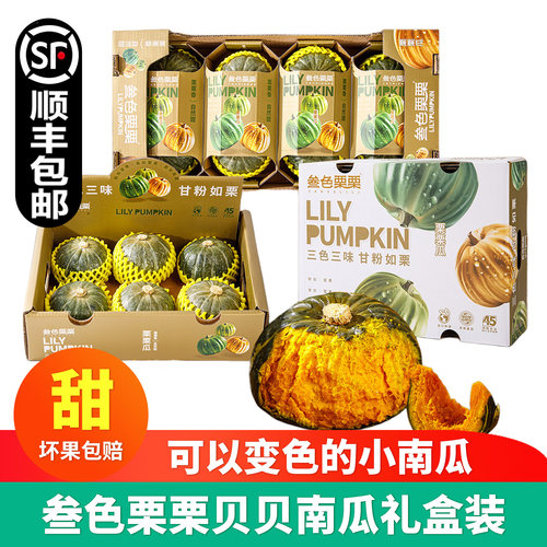 叁色栗栗南瓜礼盒装粉糯香甜