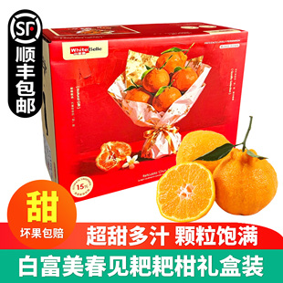 白富美春见耙耙柑7斤礼盒装纯甜丑桔橘子日本静冈种源新鲜水果