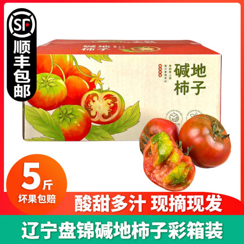 盘锦碱地柿子生吃番茄5斤礼盒装