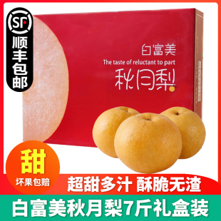 白富美秋月梨7斤礼盒装冰糖梨脆甜梨子大果新鲜当季水果顺丰包邮