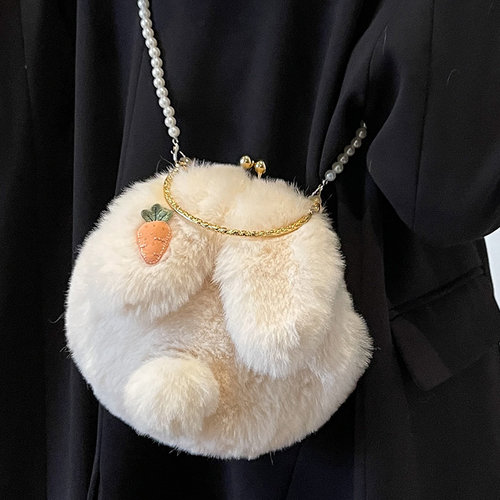 JINSHIWQ毛包女秋冬百搭小众