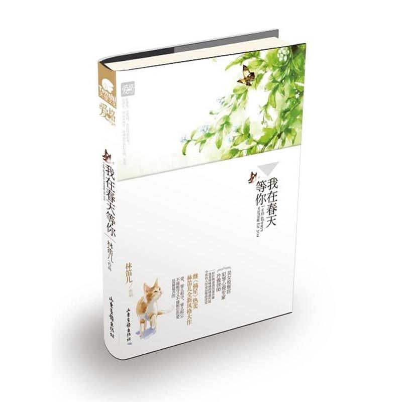【正版书】 花火我在春天等你 林笛儿 著 山东画报出版社