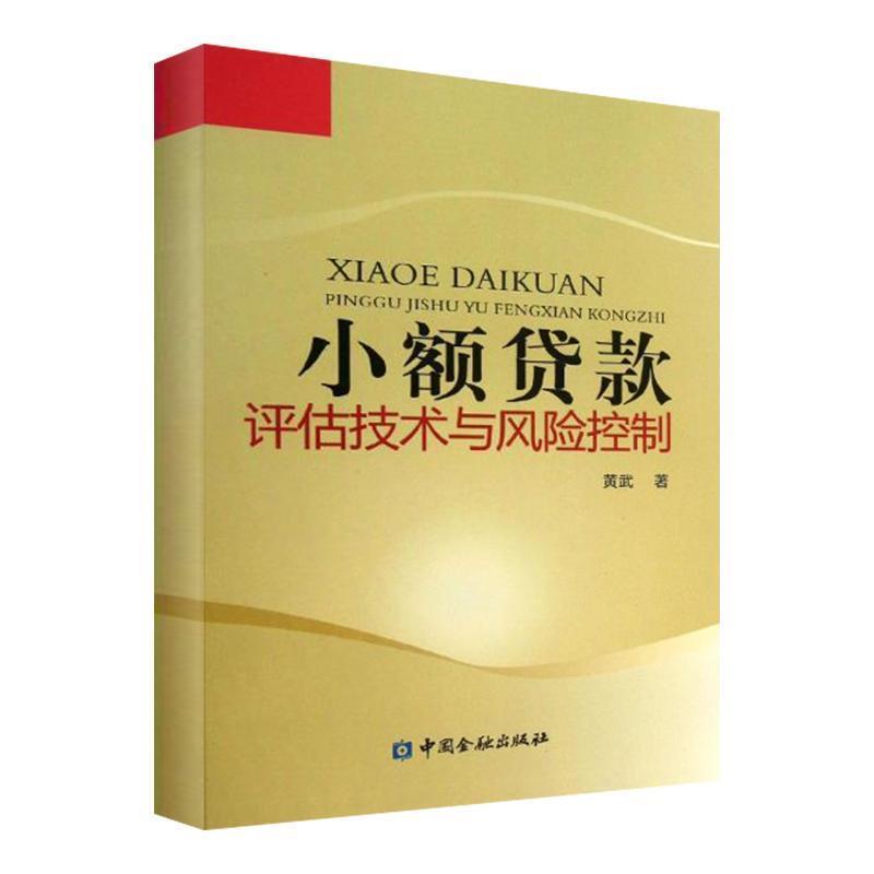 【正版书】 小额贷款评估技术与风险控制 黄武 著 中国金融出版社